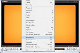 GOM Media Player Gom Player version