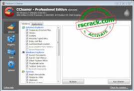 ccleaner professional 541 torrent